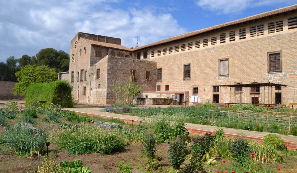 El huerto medieval de Barcelona que planta fruta de la Edad Media