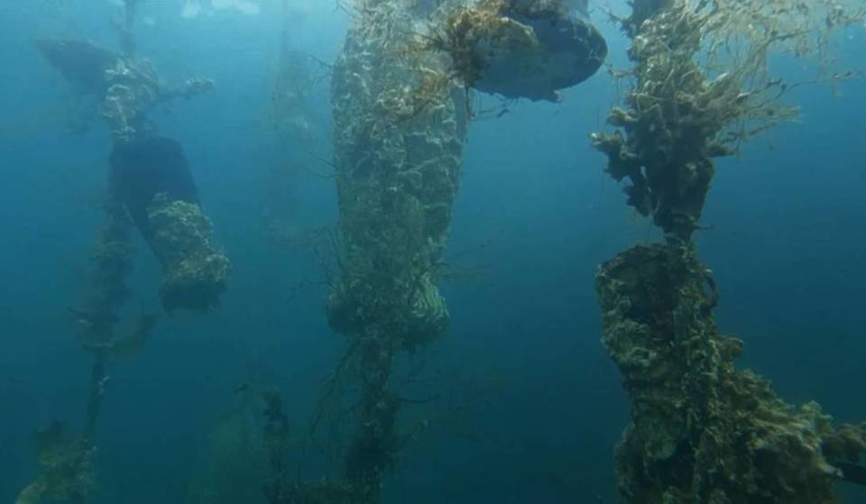 La cerveza de Barcelona hecha de ostras y bajo el mar Delta del Ebro: dónde probarla