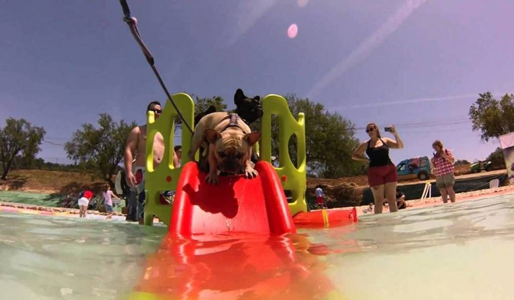 Der erste Wasserpark für Hunde in Europa liegt eine halbe Stunde von Barcelona entfernt