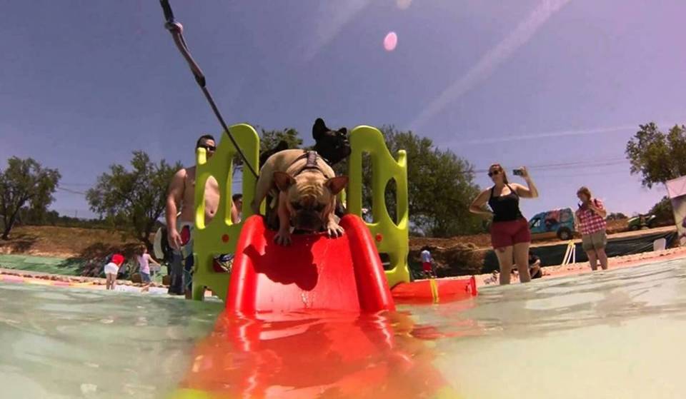 Europa&#8217;s eerste waterpark voor honden ligt op een half uur van Barcelona