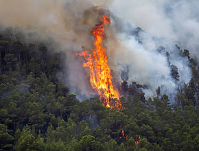 Forest fire in Paüls and south of Tarragona: how to help, sources of information and roads and confined areas