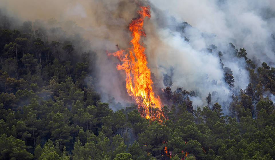 Incendio boschivo a Paüls e nel sud di Tarragona: come aiutare, fonti di informazione e strade e aree confinate