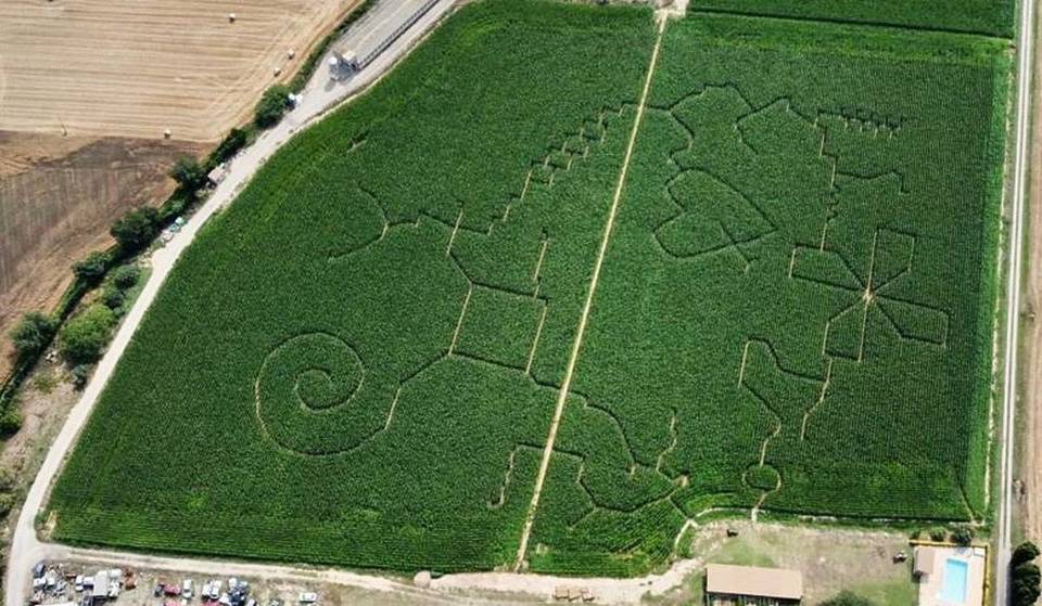 No es el Laberinto de Horta: el laberinto de maíz de 3,5 hectáreas escondido en el Empordà que celebra noches de terror