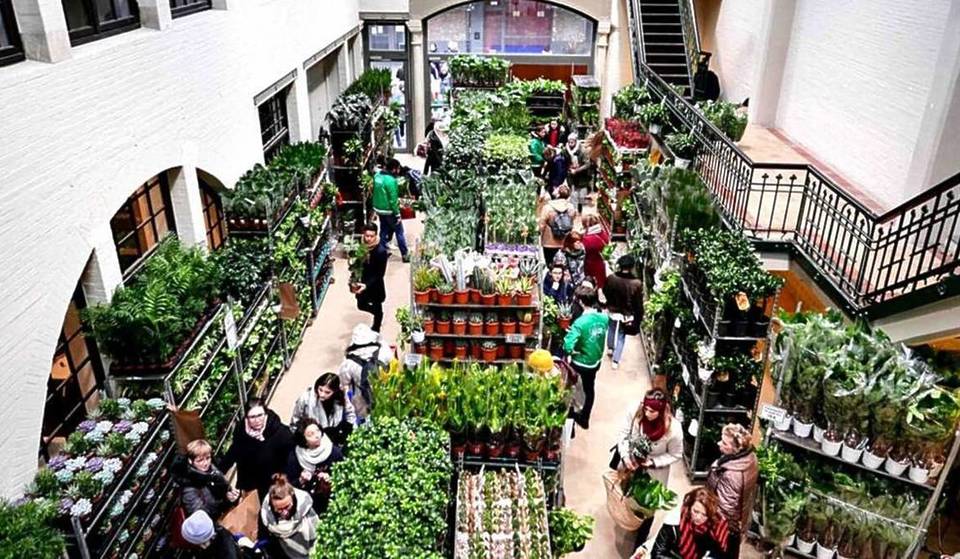 Mais de 150 tipos de plantas a partir de 0,99 euros: o viveiro low-cost que chega a Poblenou e o enche de verdura