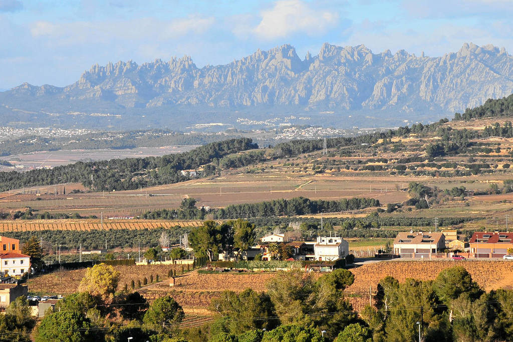 Aquest poble envoltat de vinyes és el més petit de Catalunya: només 629 habitants i està a 1 hora de Barcelona