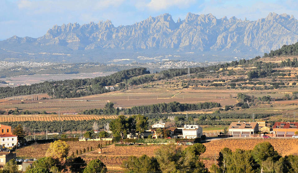 Aquest poble envoltat de vinyes és el més petit de Catalunya: només 629 habitants i està a 1 hora de Barcelona
