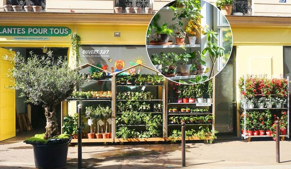 Mehr als 150 Pflanzenarten ab 0,99 €: der große „Billig“-Verkauf kommt diesen Monat nach Barcelona