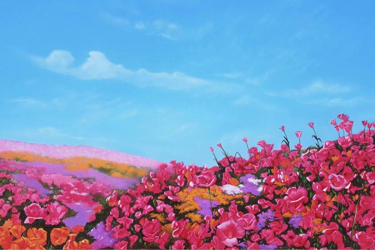 Un extenso campo de amapolas en tonos rosas y fucsias se extiende bajo un cielo azul despejado, evocando una de las escenas más oníricas de El mago de Oz.