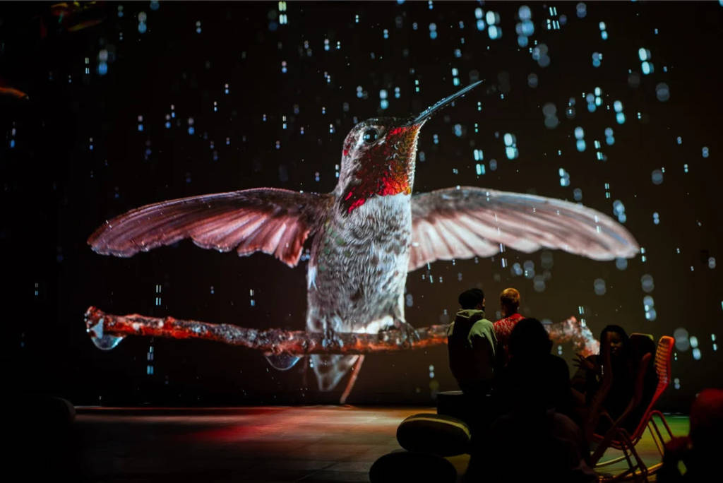 « Comment entrer dans un magazine National Geographic » : l&rsquo;exposition immersive du magazine avec des animaux géants et des billets à 6 euros