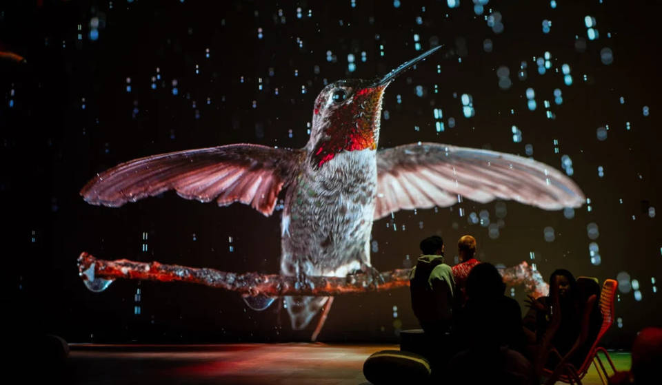 “Com entrar en una revista de National Geographic”: l’exposició immersiva de la revista amb animals gegants i entrades a 6 euros