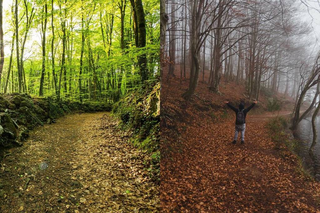 6 herfst excursies op slechts een uur van Barcelona: van de geboorteplaats van cava tot het bos op een lavastroom
