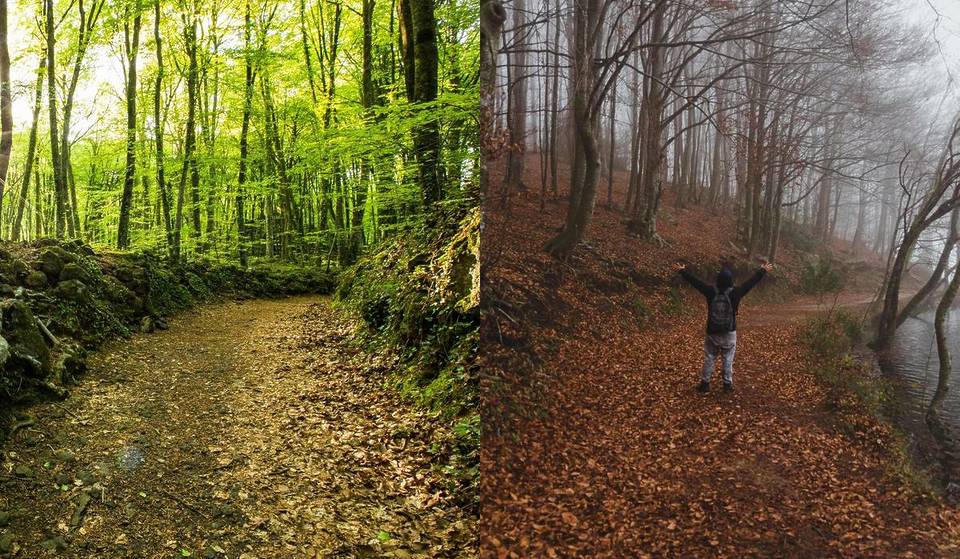 6 excursions de tardor a només una hora de Barcelona: de la cuna del cava al bosc sobre una colada de lava