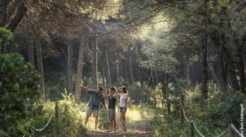 The protected forest in front of the Prat beach that only opens 10 times a year: it is free, there is no reservation and only the first 25 to arrive get in