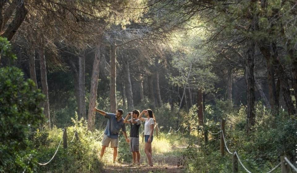 Der geschützte Wald vor dem Strand von El Prat, der nur 10 Mal im Jahr geöffnet wird: Der Eintritt ist kostenlos, es gibt keine Reservierung und nur die ersten 25 Personen kommen hinein.