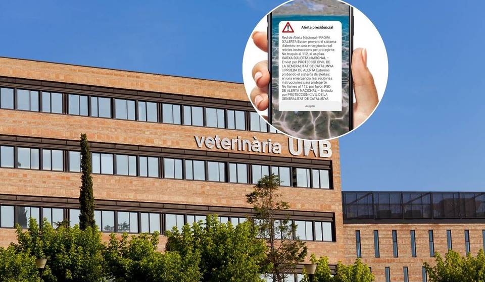 Regenalarm in Barcelona: Unterrichtsausfall an den Universitäten