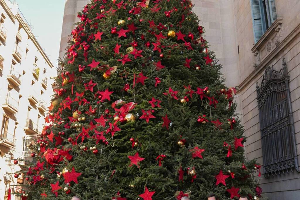 El abeto de 15 metros que llega a Barcelona desde Girona: diseño de autora y una decoración que une tradición y modernidad