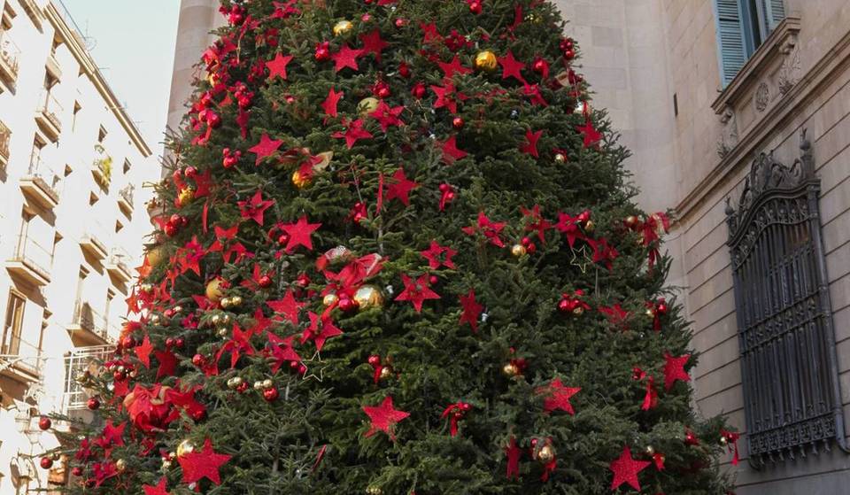 Le sapin de 15 mètres qui arrive à Barcelone en provenance de Gérone : un design et une décoration qui allient tradition et modernité.