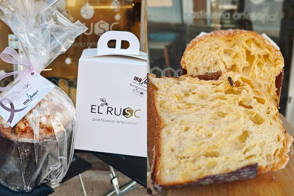 Der 30 Euro teure handwerkliche Panettone, der bei einer Blindverkostung den Sieg davontrug: Er wird in einem Dorf in Lleida hergestellt und ist in 4 Varianten erhältlich