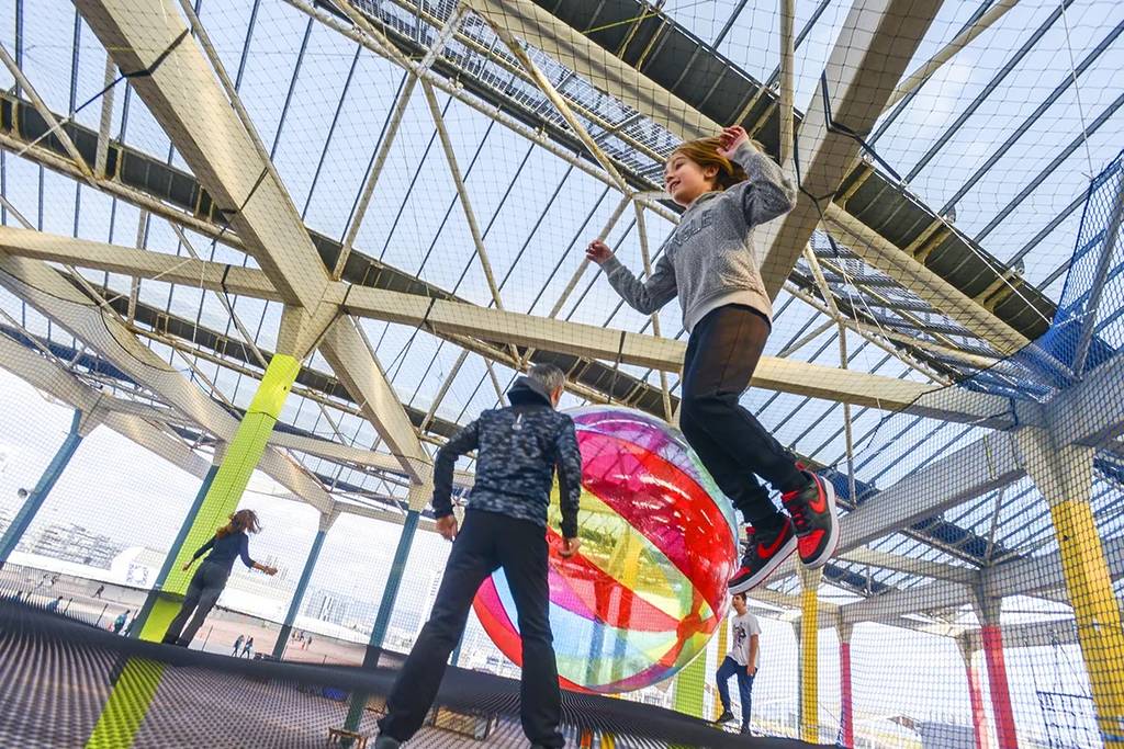 Barcelona Bosc Urbà