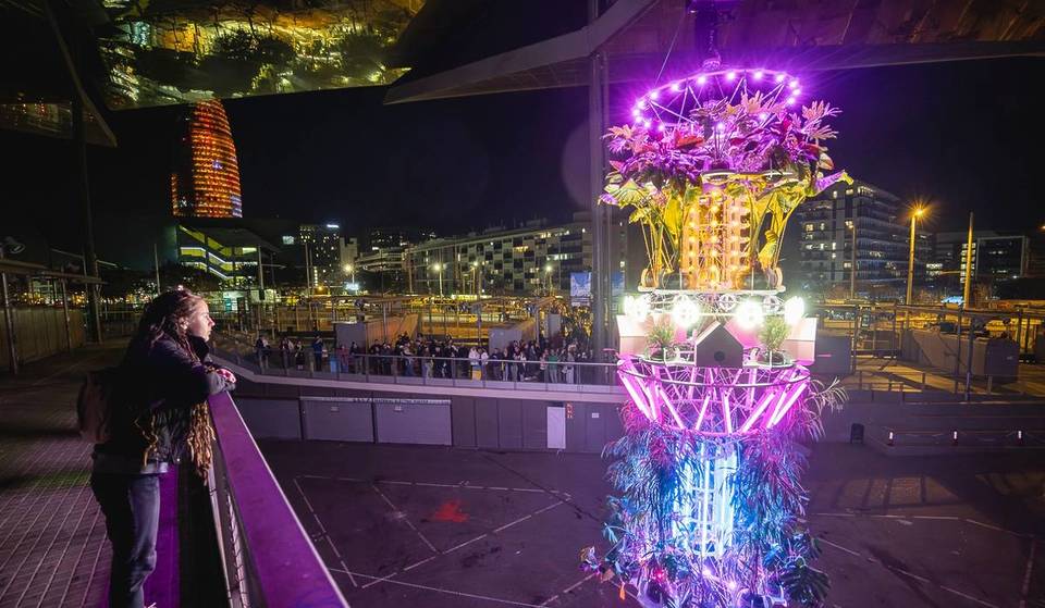 Llum BCN 2026: guida con itinerari, mappe e orari del miglior programma gratuito di questo fine settimana a Barcellona