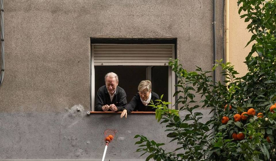 Arance in cambio di marmellata: la grande raccolta di arance amare che si terrà questo fine settimana a Barcellona.