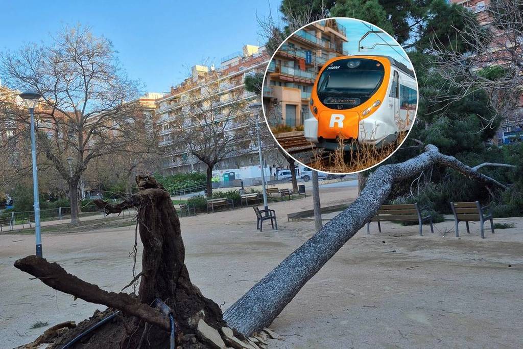 Velocidad limitada y estaciones cerrada en Rodalies y FGC ante el temporal de viento: cómo afectarán las restricciones de velocidad a trenes y AVE Barcelona-Madrid