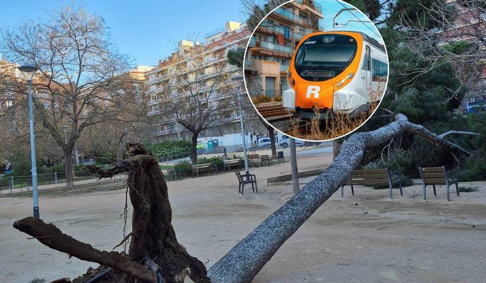Velocidade limitada e estações fechadas em Rodalies e FGC devido à tempestade de vento: como as restrições de velocidade afetarão os comboios e o AVE Barcelona-Madrid