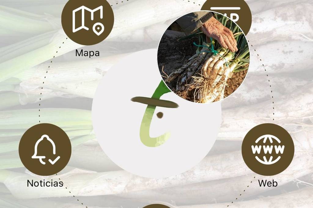 La primera ‘app’ del mundo dedicada a los calçots ya es realidad: el mapa definitivo para encontrar más de 500 restaurantes y agricultores con sello de calidad