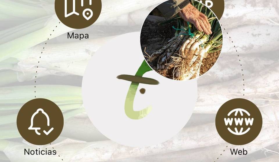 The world’s first app dedicated to calçots is now a reality: the definitive map for finding more than 500 restaurants and farmers with the seal of quality.