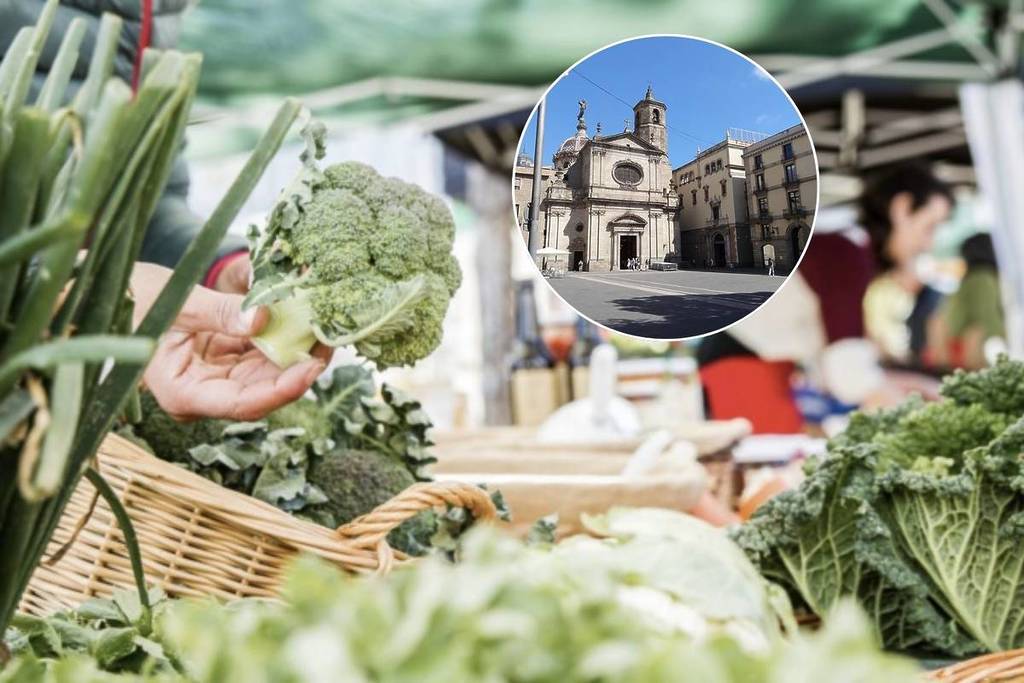El Gòtic launches farmers’ market: local fruit and vegetables among medieval alleys every Tuesday
