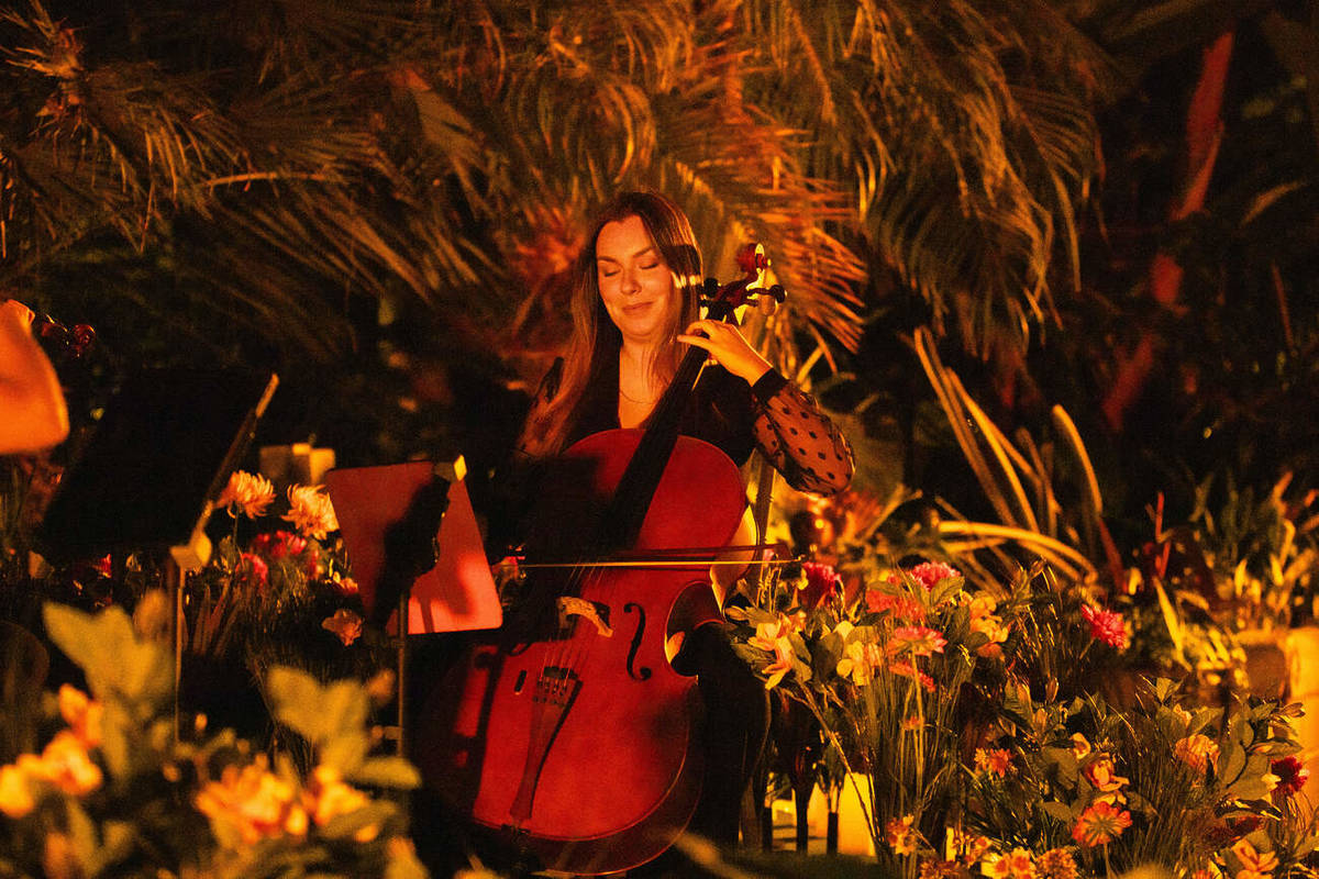 Plano medio de una música tocando el violonchelo sobre un escenario cubierto de flores y velas durante un concierto Candlelight Spring.