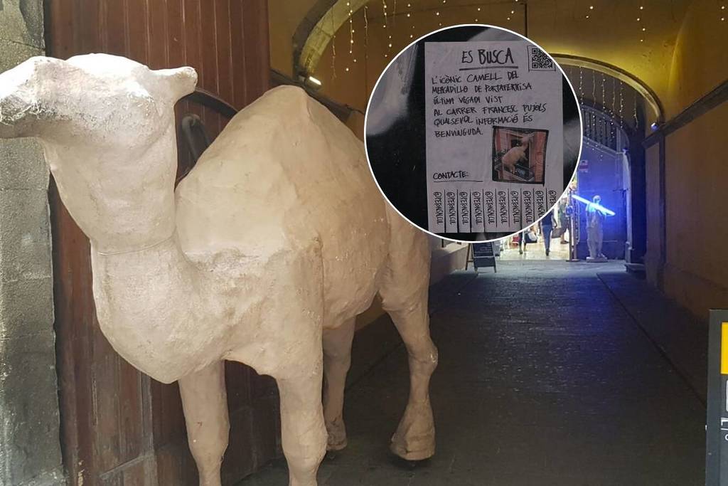 El regreso del Camello’: un documental busca encontrar la figura gigante del animal perdida y rescatar al alma del Mercadillo de Portaferrissa (y tú puedes ayudar con solo 15 euros)