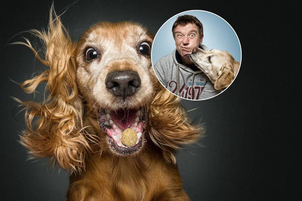 El fotógrafo de perros más famoso del mundo lega a Barcelona y ofrece sesiones gratis: cómo conseguirlas