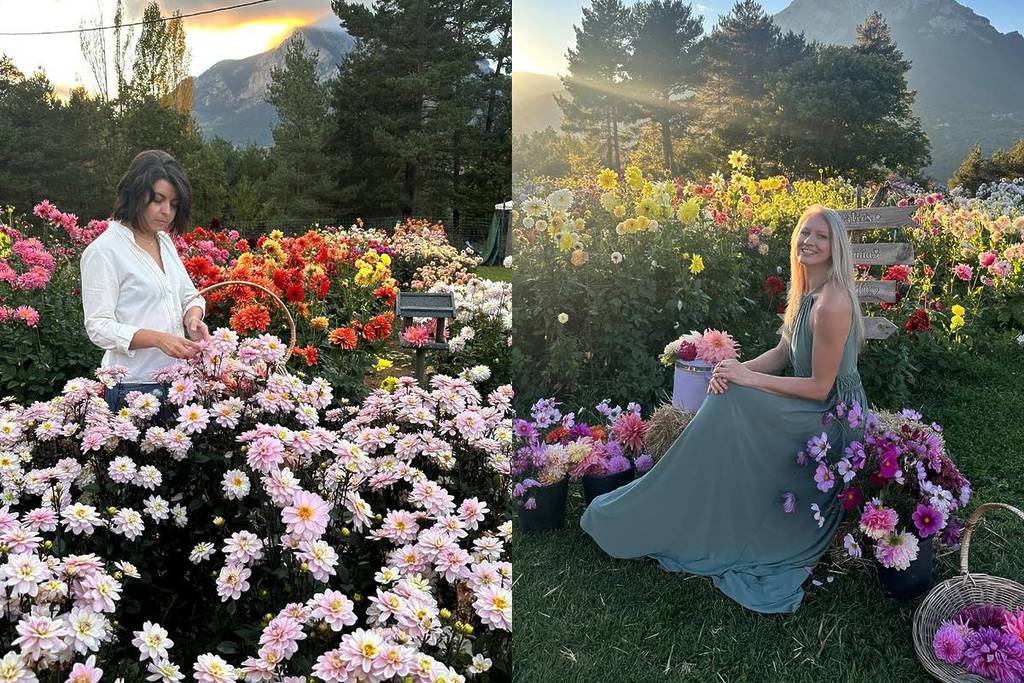 El campo de tulipanes a 1 hora de Barcelona que parece sacado de Holanda: 200.000 flores en los pies del Pedraforca
