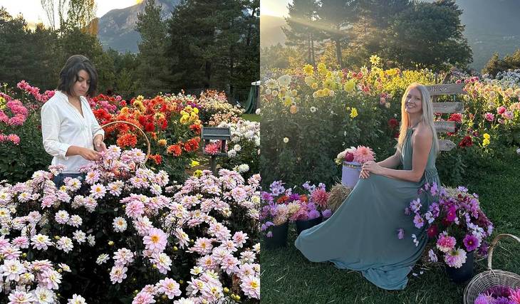 El camp de tulipes, a només una hora de Barcelona, que sembla tret d’Holanda: 200.000 flors al peu de la Pedraforca