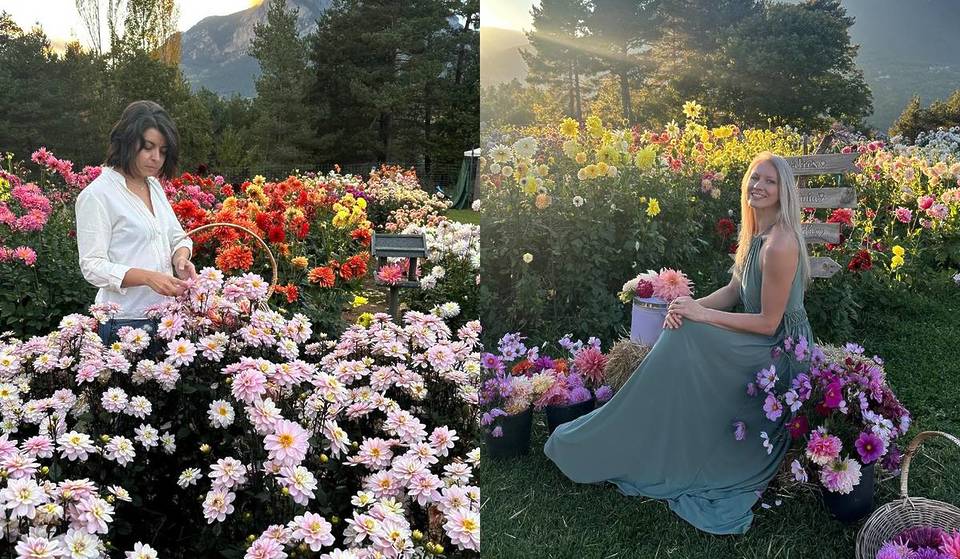 El camp de tulipes, a només una hora de Barcelona, que sembla tret d’Holanda: 200.000 flors al peu de la Pedraforca