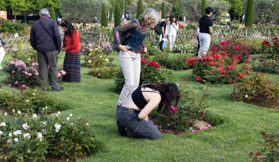 O refúgio com mais de 10 000 roseiras em Pedralbes abre as portas este fim de semana: poderás votar em rosas que ninguém jamais viu