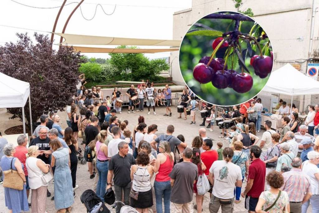 Op 30 minuten van Barcelona dit weekend: dit dorpje met minder dan 5.000 inwoners organiseert zijn traditionele kersenmarkt met directe verkoop