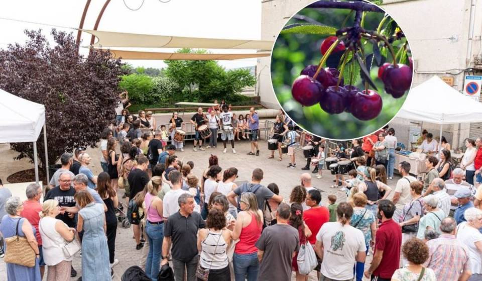 30 Minuten von Barcelona entfernt an diesem Wochenende: Dieses Dorf mit weniger als 5.000 Einwohnern veranstaltet sein traditionelles Kirschfest mit Direktverkauf