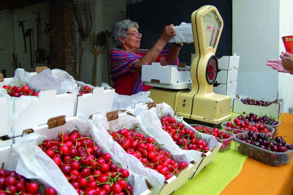 Festa della ciliegia a 25 chilometri da Barcellona questo fine settimana: mercato di vendita diretta, giornata delle castelliere e concerti