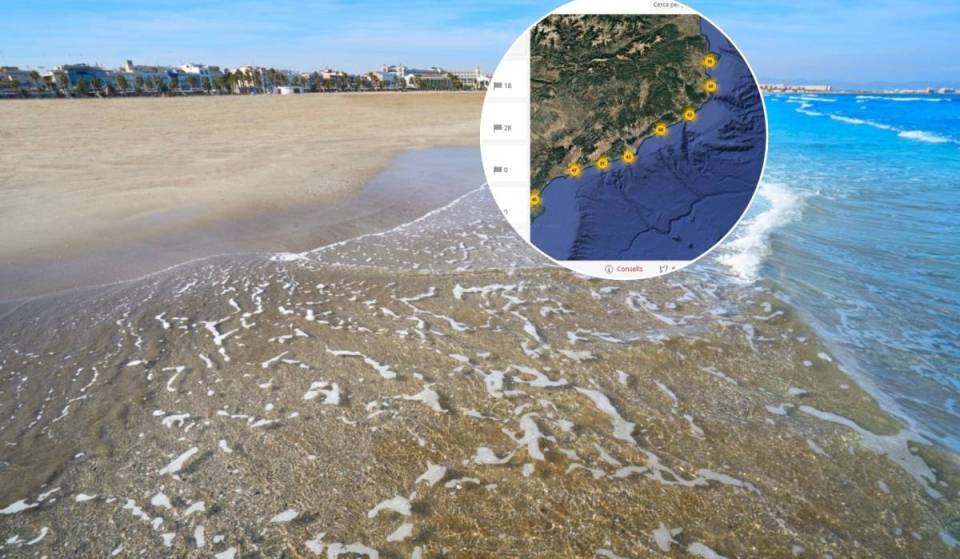 Le site officiel pour choisir en temps réel quelle plage aller : état de la mer, drapeaux, horaires, toilettes et services de sauvetage