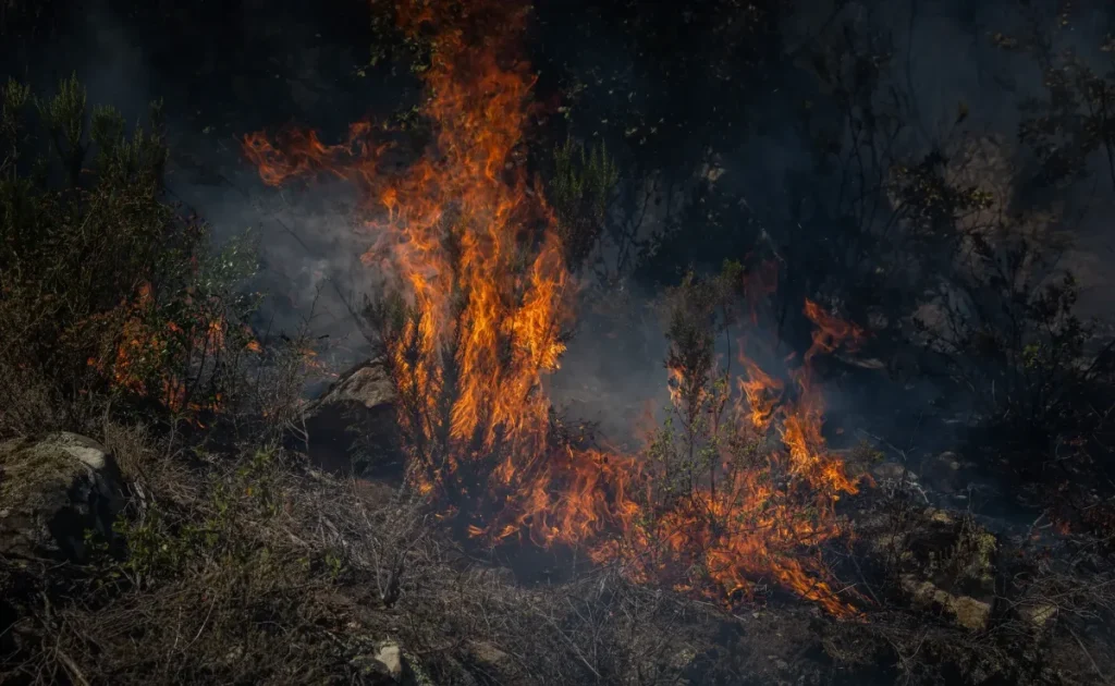 Adieu à Montserrat et à cinq autres parcs naturels de Catalogne à cause de la chaleur : le risque d’incendie oblige à les fermer