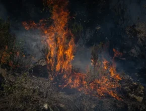 Auf Wiedersehen, Montserrat und fünf weitere Naturparks in Katalonien wegen der Hitze: Die Brandgefahr zwingt zur Schließung