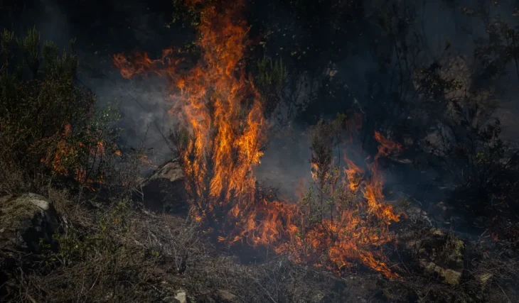 Adiós a Montserrat y otros 5 parques naturales de Catalunya por el calor: el riesgo de incendio obliga a cerrarlos