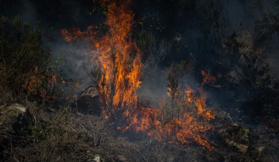 Adieu à Montserrat et à cinq autres parcs naturels de Catalogne à cause de la chaleur : le risque d’incendie oblige à les fermer