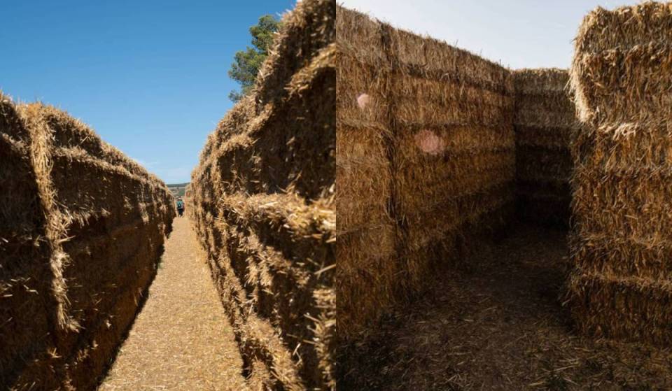 El laberinto más grande de Cataluña es gratis y abre este viernes: tiene más de 1.000 balas de paja