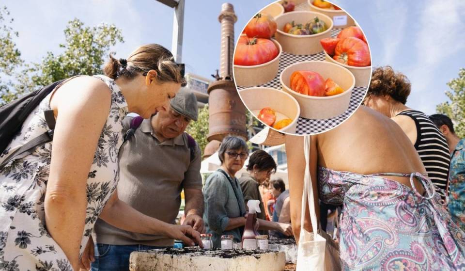 Né nell’orto né al supermercato: i migliori pomodori di Barcellona crescono sui balconi e potrai assaggiarli questo sabato con paella e musica dal vivo