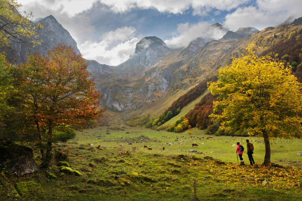 Bosques, castillos y ferias de queso para una escapada otoñal perfecta en las Tierras de Lleida y el Pirineo