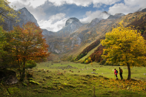 Bosques, castillos y ferias de queso para una escapada otoñal perfecta en las Tierras de Lleida y el Pirineo