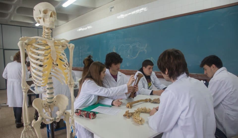 Alumnado de último curso de Medicina y Enfermería de la UPV se incorporará a Osakidetza
